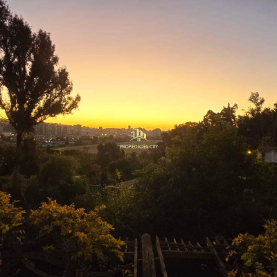 Lusitania, Viña del Mar